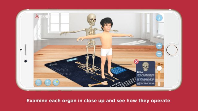 3-Anatomy-All-IOS-APP-MOBILE-Screen-1242x2208.jpg