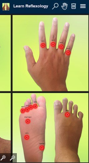 learn1.jpg