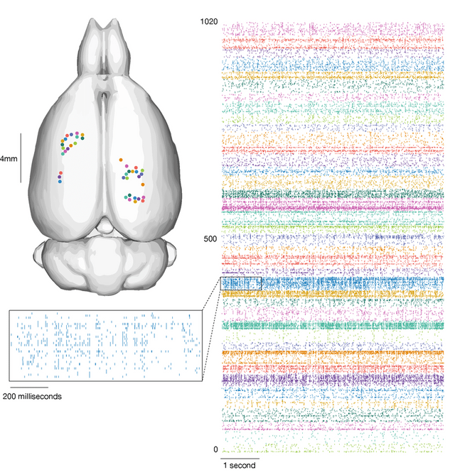 3FA040D0-4B64-413C-BAFD-770A2912D6AF.png