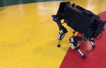 CHAMP.mp4