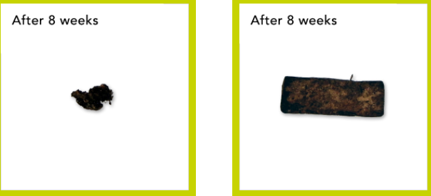 samp2.png