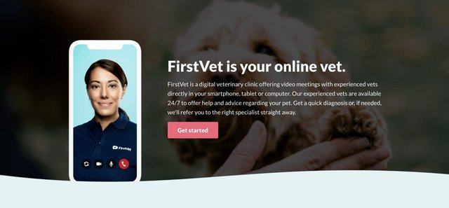 FirstVet.jpg