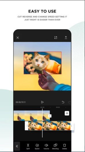 vid2.jpg