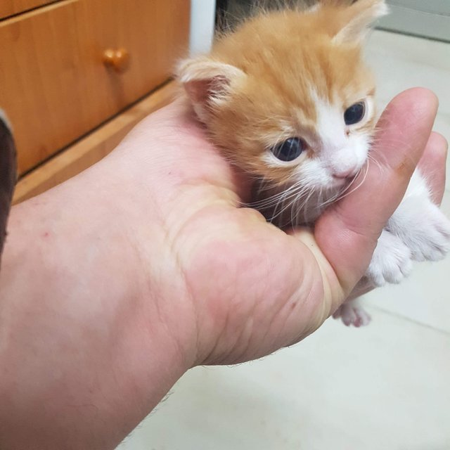 received_682162939388565.jpeg