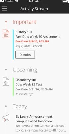 stu2.jpg