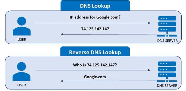 reverse-dns-lookup-diagram.jpg