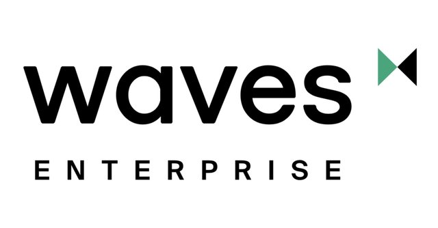 Waves_Enterprise_logo.jpg