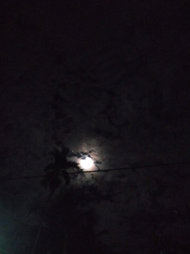 IMG20210629005852.jpg