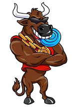 logo.png