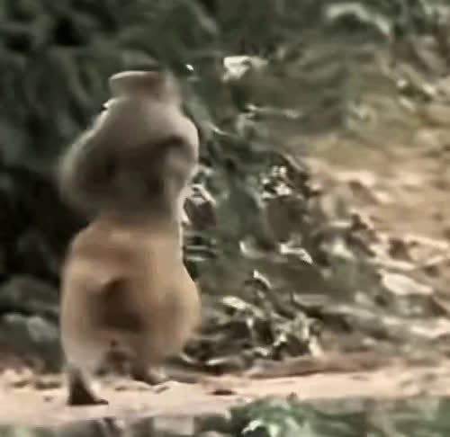 QmSLsm46hPKpuaWCJQePCcquxnkXt7hVT5BbGGUjjEpm55.mp4