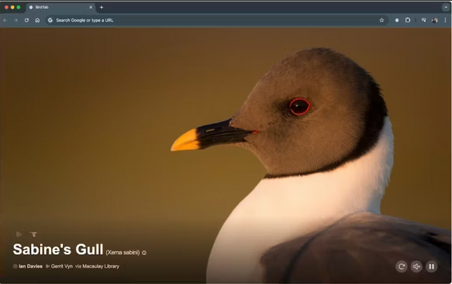 Screenshot.png