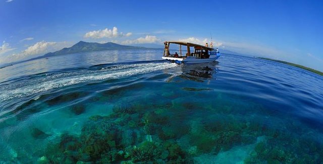 All paradise, all the time in Bunaken