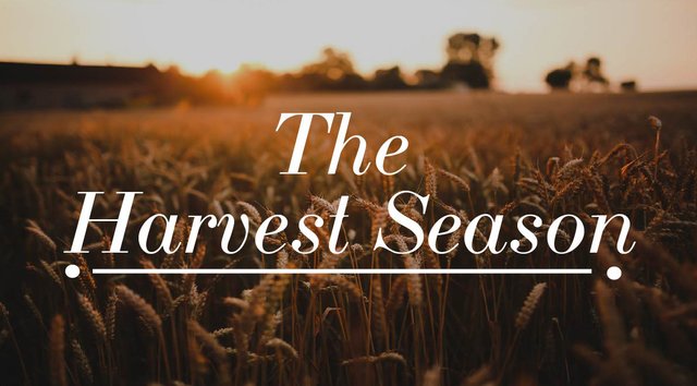 Harvest Season ile ilgili gÃ¶rsel sonucu