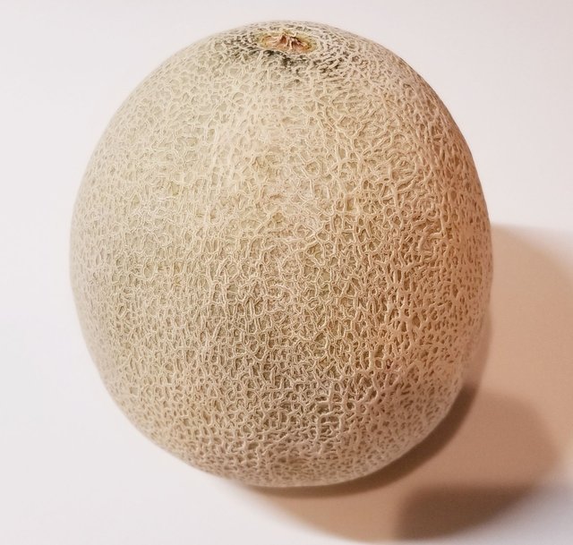 カンタロープメロン Cantaloupe Melon Steemit