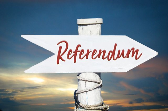 referendum logo.jpeg