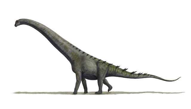 Futalognkosaurus_BW.jpg