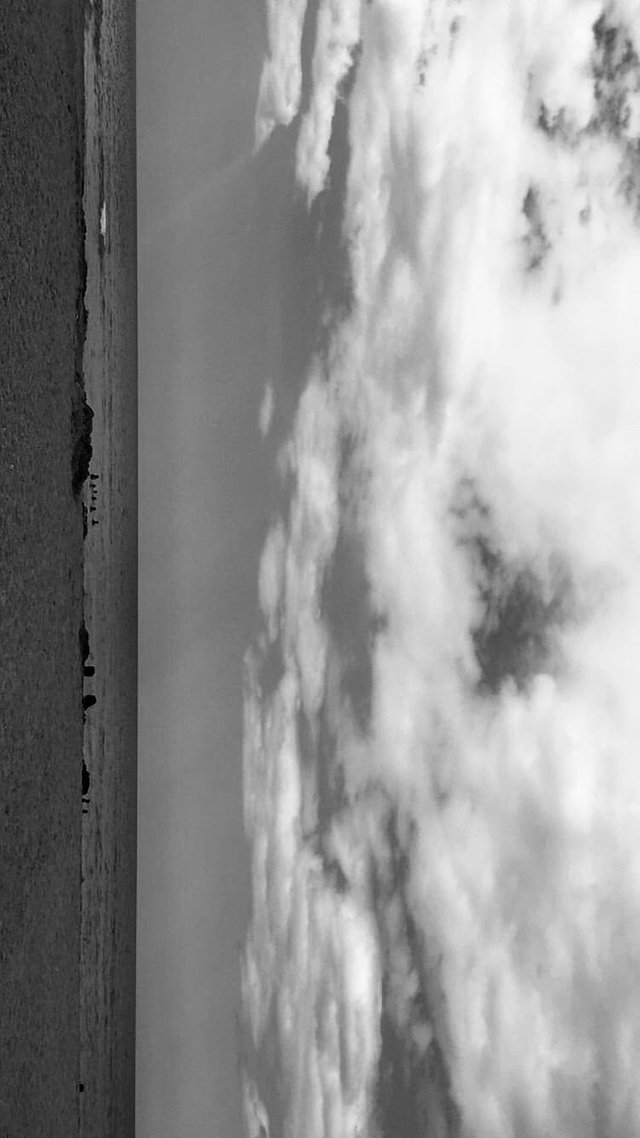 9A9359BB-361C-4C2B-A909-AEB30808821D.jpeg