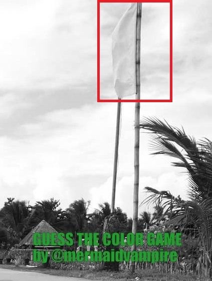flag.jpg