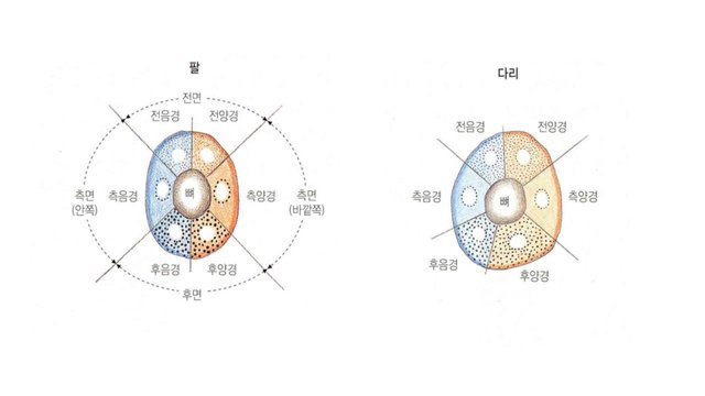 슬라이드3.GIF