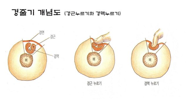 슬라이드6.GIF