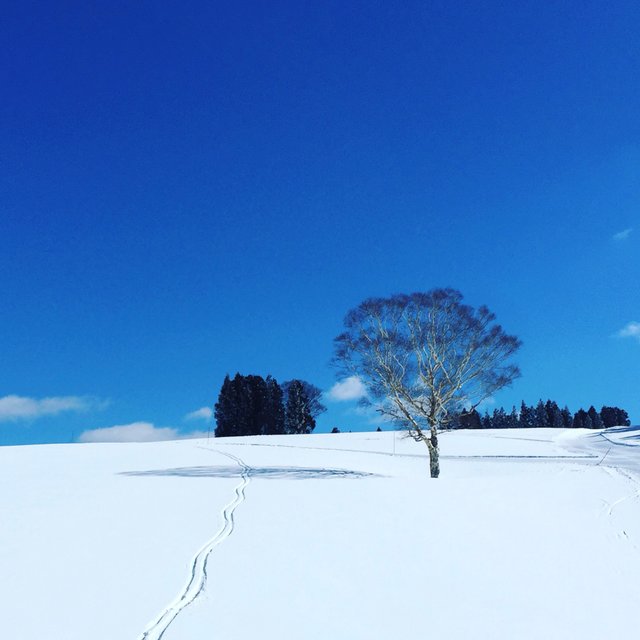 31f49ebb8ef74e52ee923d11789088e2