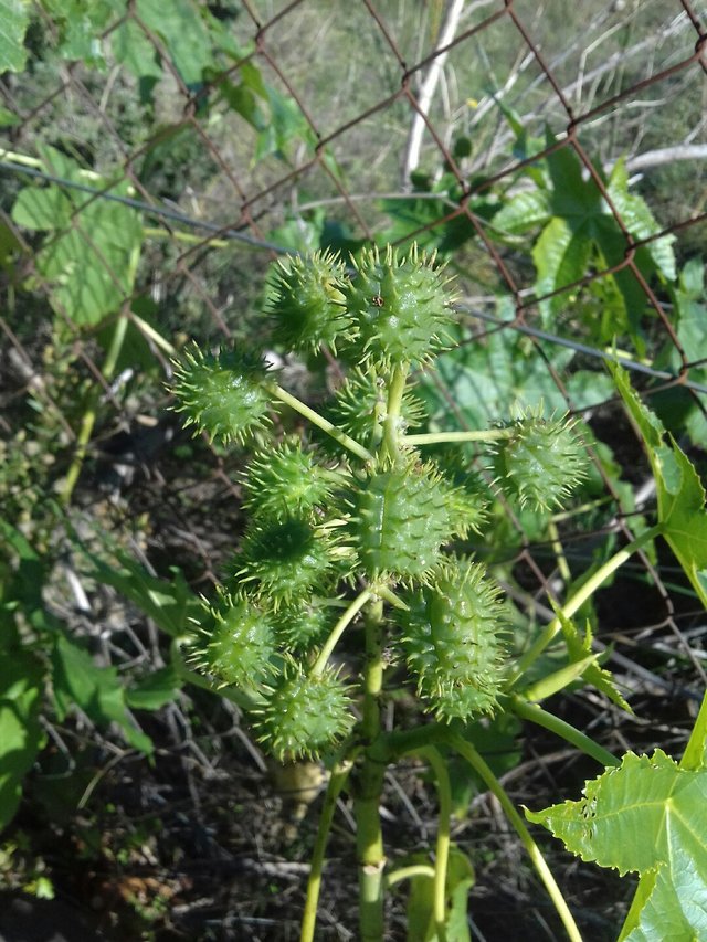 eda5340a44bb5d89666f9eba9f2ee128