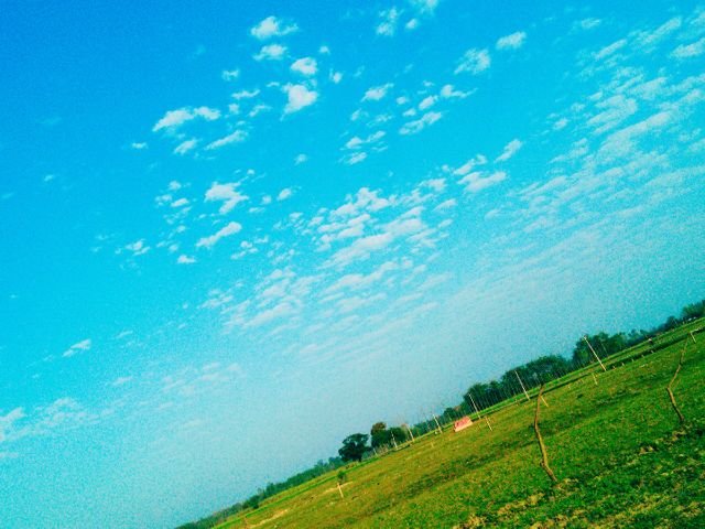 71dc790f27c3ef6998876b84a3d91c3a