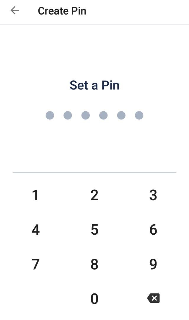 Pin