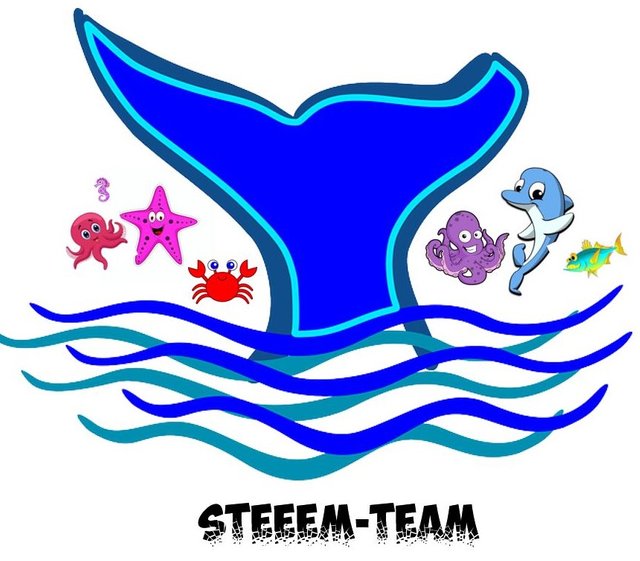 steemteam