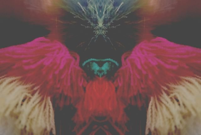 0092a862b98335fc5bca0cbabf922ee8