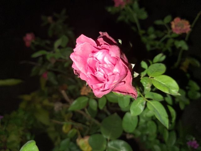 041e915000e5c6a4718df08ad85c714a