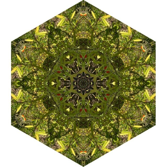 30156646ee19e90fed4fd5acf92655c1