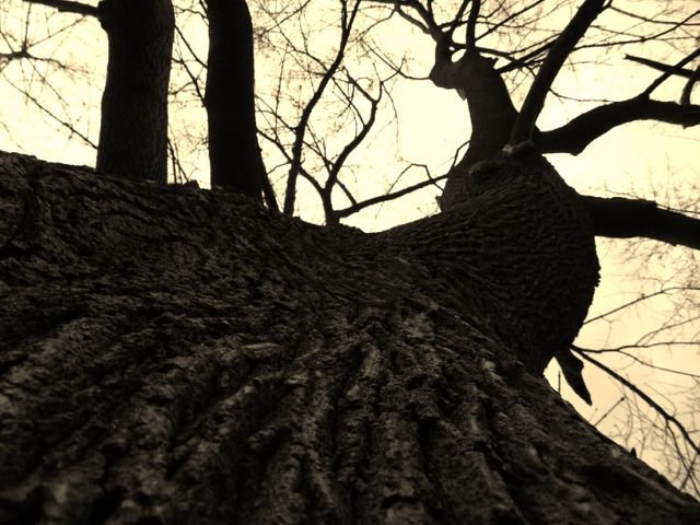 31a7cb54254f4a00355f5cb87cae5953