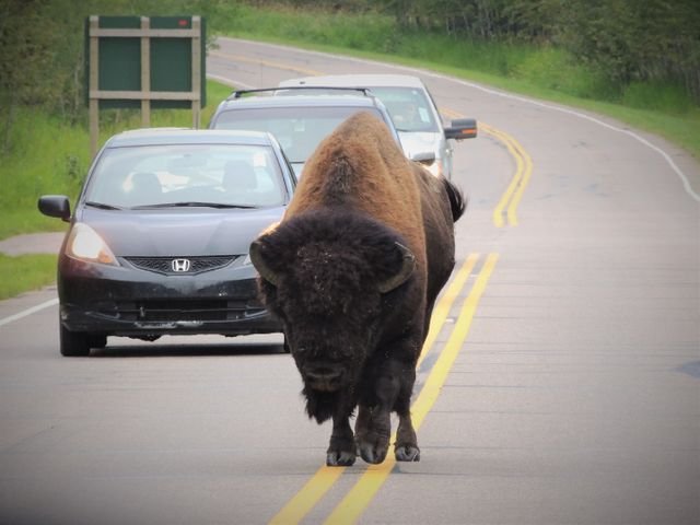 44591baadd7ccb8daa4ff2383d1c5905