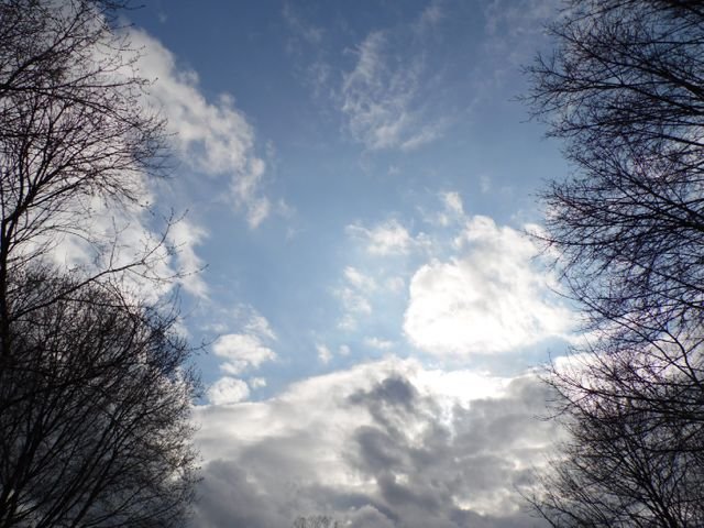 487ba29e8099385f5ad867329ea14d28