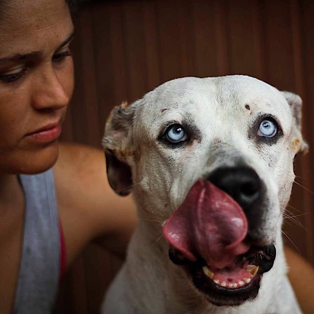 4d6b09b4d6e0c4875809a3c15153f41e