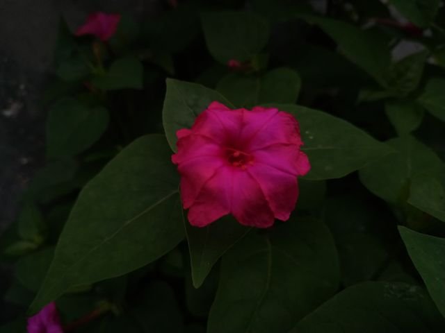 53ee6bb974d0092f61678762ba815db2