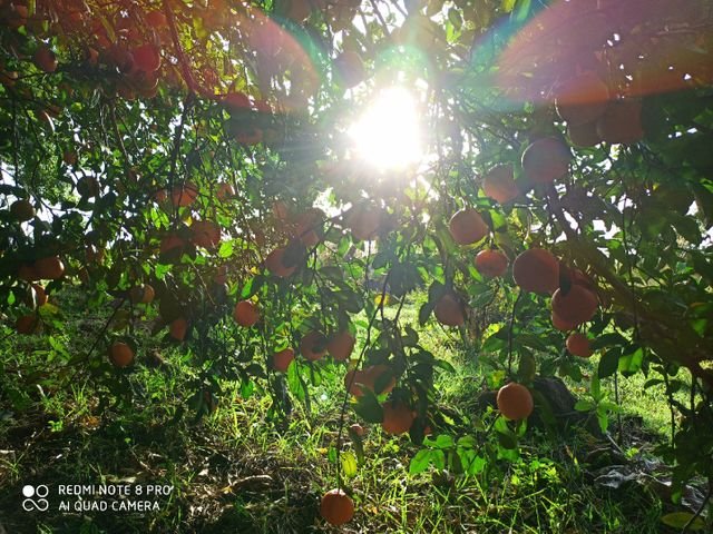 578c788770ac9d0422113603945cb9d1