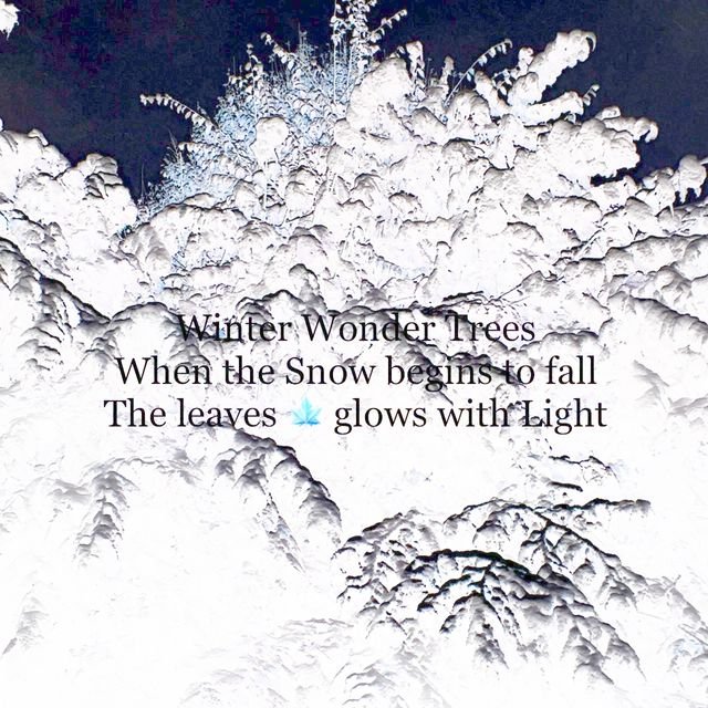 Winter Haiku Poems