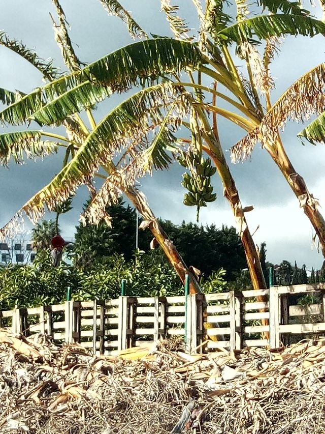 77429cdf3dfe3bddc7aff4fababfaf24