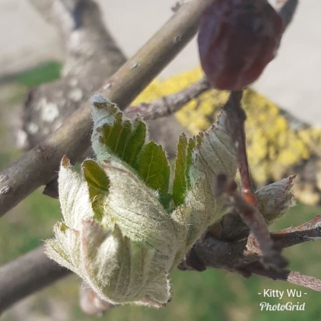 78bd24bed147f2d9a1a8a1d3dc56eb59