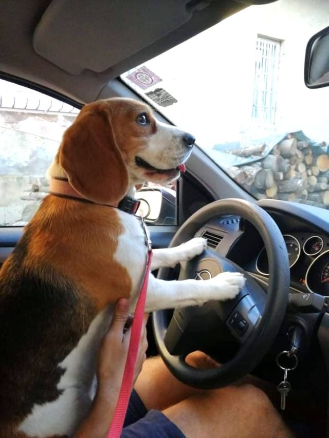 7dd442ed3f70a5a585630e9af042ab3f