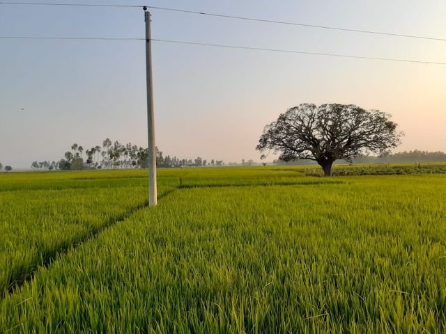 874ba97075d6725ff5385732836cdfab