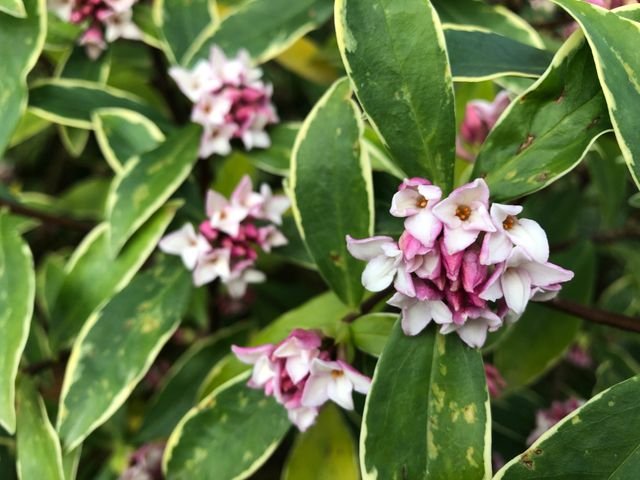 95a351719cd0064a5b4c2a4b723d8391