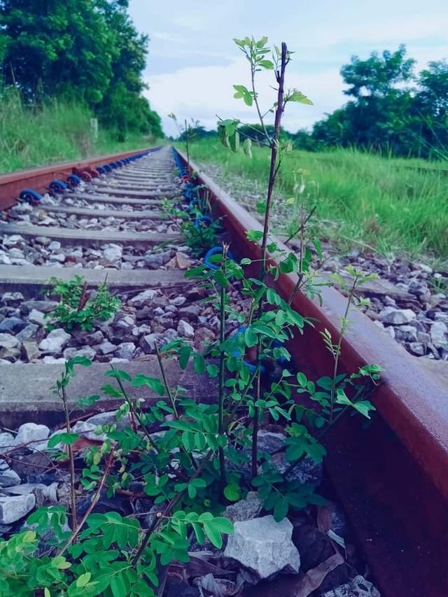 998a36fae81f301b9629f5491c34dd32