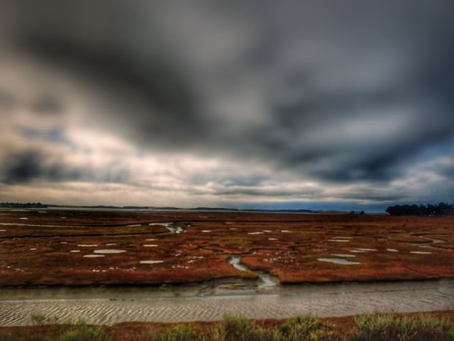 9b71910fb1072b5f4de6c44163933675