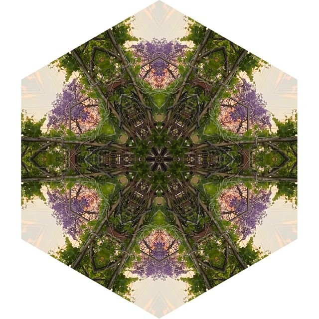 9d1f07073921a76a9412e6dcf2fcc093