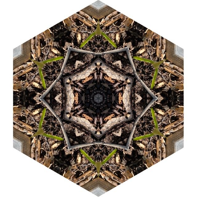 c5cf49321e9335cce05c5455a3f321d9