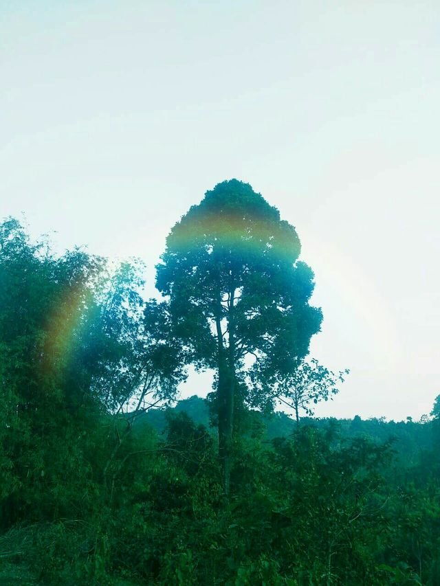 cd85b156886e6b5ae677466b3bf9460c