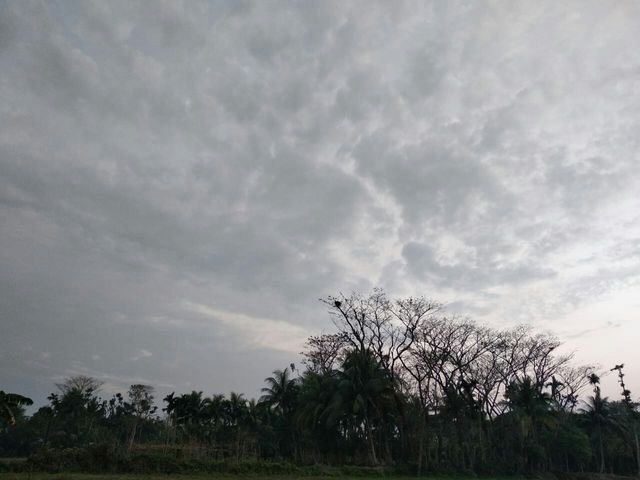da34c5b60462c0c30ffa4b3ef56b5cfc
